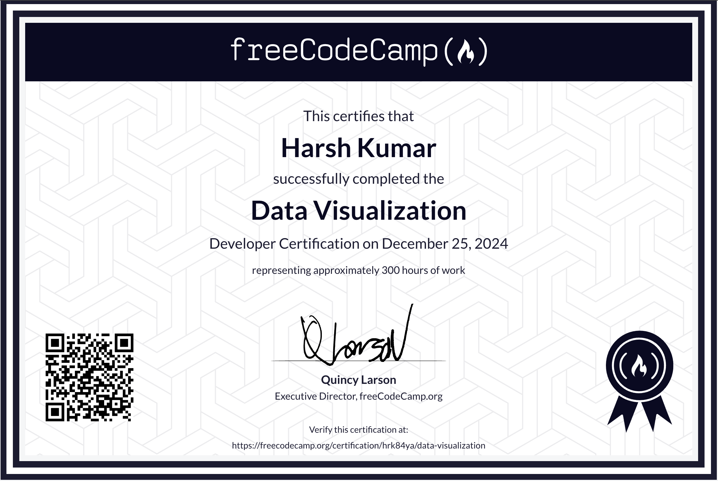 Data Visualization Certificate